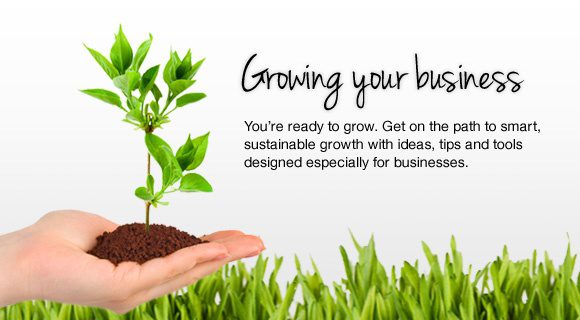 how to grow you business
