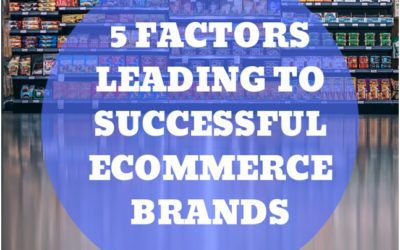 5 Factors Leading To A Successful E-commerce Brand